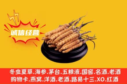 南平市松溪回收冬虫夏草
